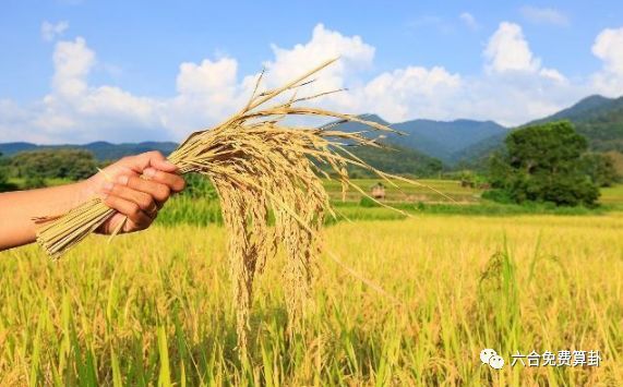 天泽履变天雷无妄求财_天雷无妄变天泽履_无妄卦变履卦