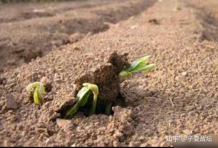 山地剥变火地晋卦详解_山水蒙卦变地水师卦测爱情_坤卦变火地晋卦