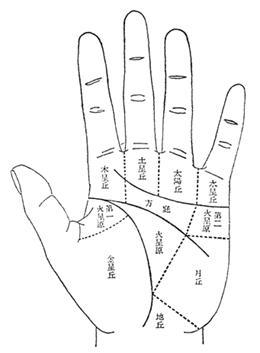 财运手相图解大全感情_手相图解大全女 财运_手相图解大全财运线