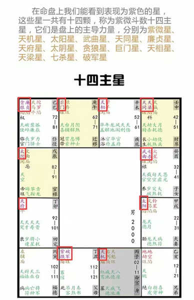 紫薇斗数桃花星耀 名词解释将人出生的年月日时按照特定方法换算