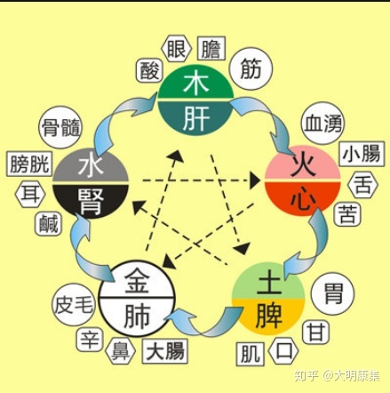 北京事业单位医疗招聘：五行学说的基本内容与阴阳