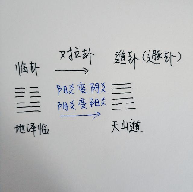 六爻占断法预测怀孕是男是女孩实例乙酉月(图)