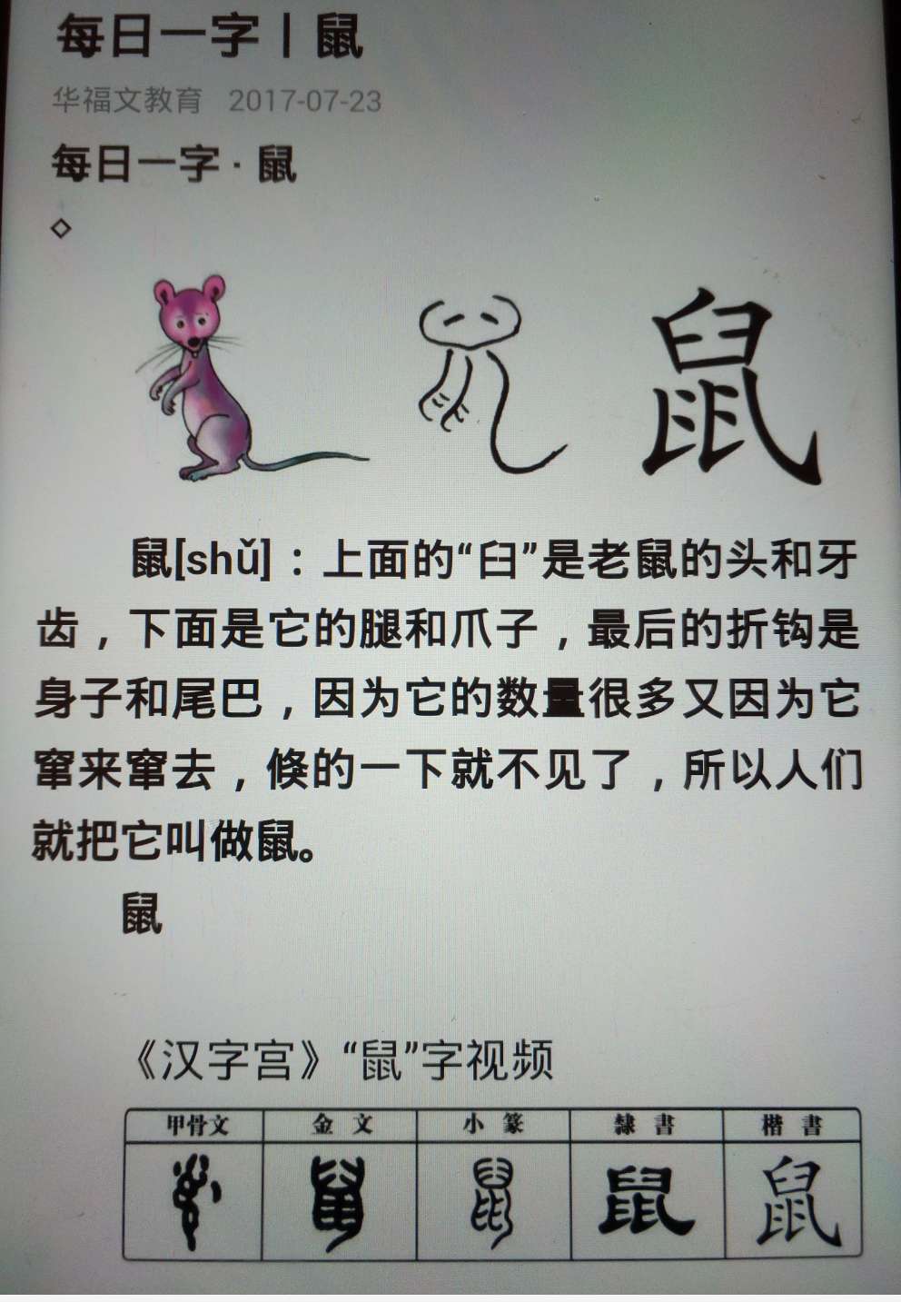 老鼠兔子不成婚什么意思