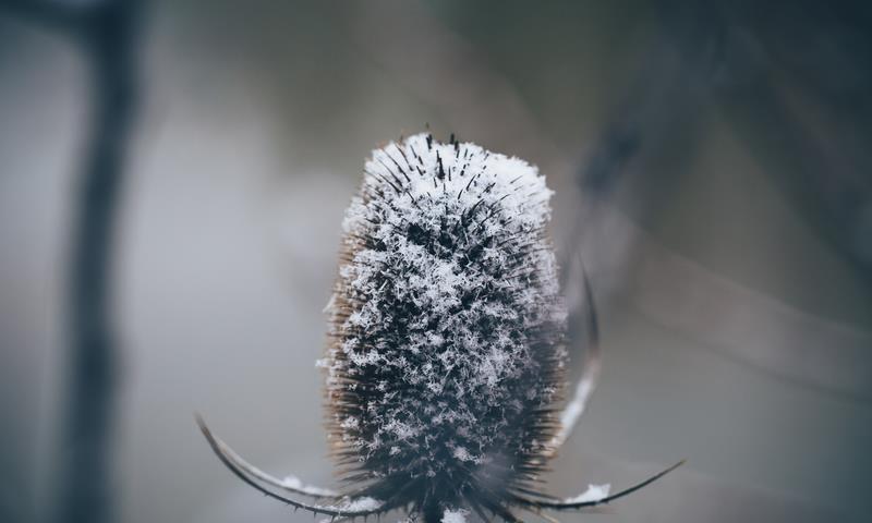 紫微斗数怎么看结婚流年 如何摆脱单身或者何时结束单身的预测？还给出了一下