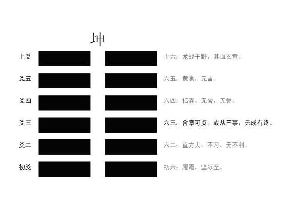 周易晋卦详解_雷火丰卦事业详解_火地晋卦详解事业