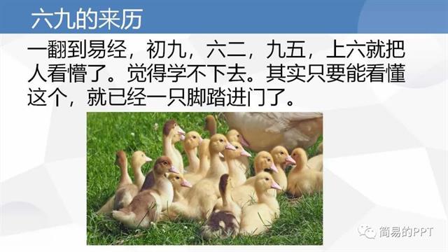 探秘易经：解读风水堂的玄妙奥义