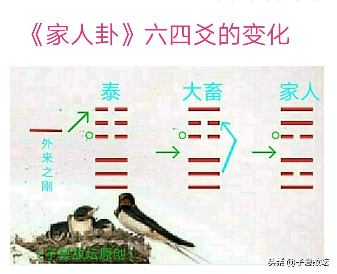 《泰卦》中的六四卦，你知道吗？