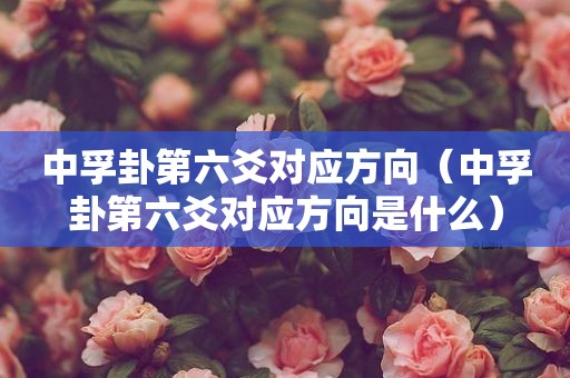 中孚卦第六爻对应方向（中孚卦第六爻对应方向是什么）