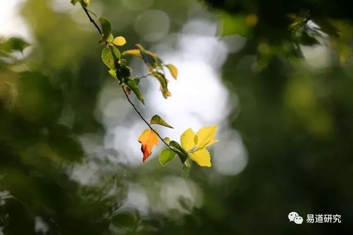 风水堂：知几则吉谨言慎行