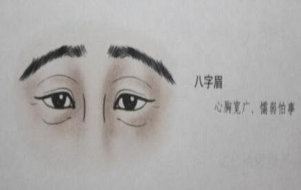 男人倒八字眉的男人品行好不好呢？