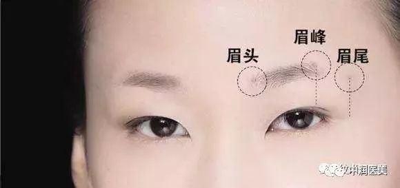 （李向东）面相看你的眉毛是否有其不一样的含义