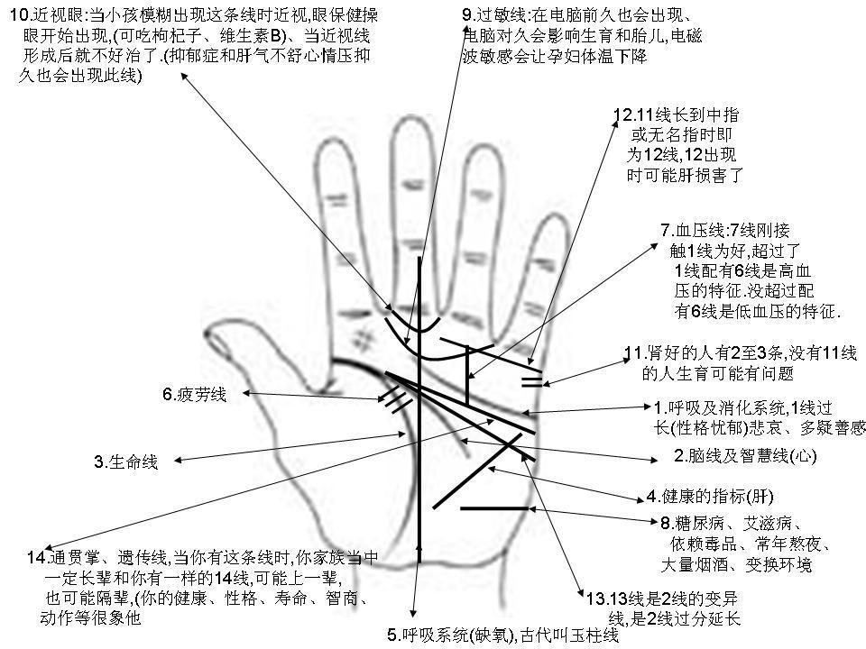 男人的手相看哪只手呢？左右手与手相的关系