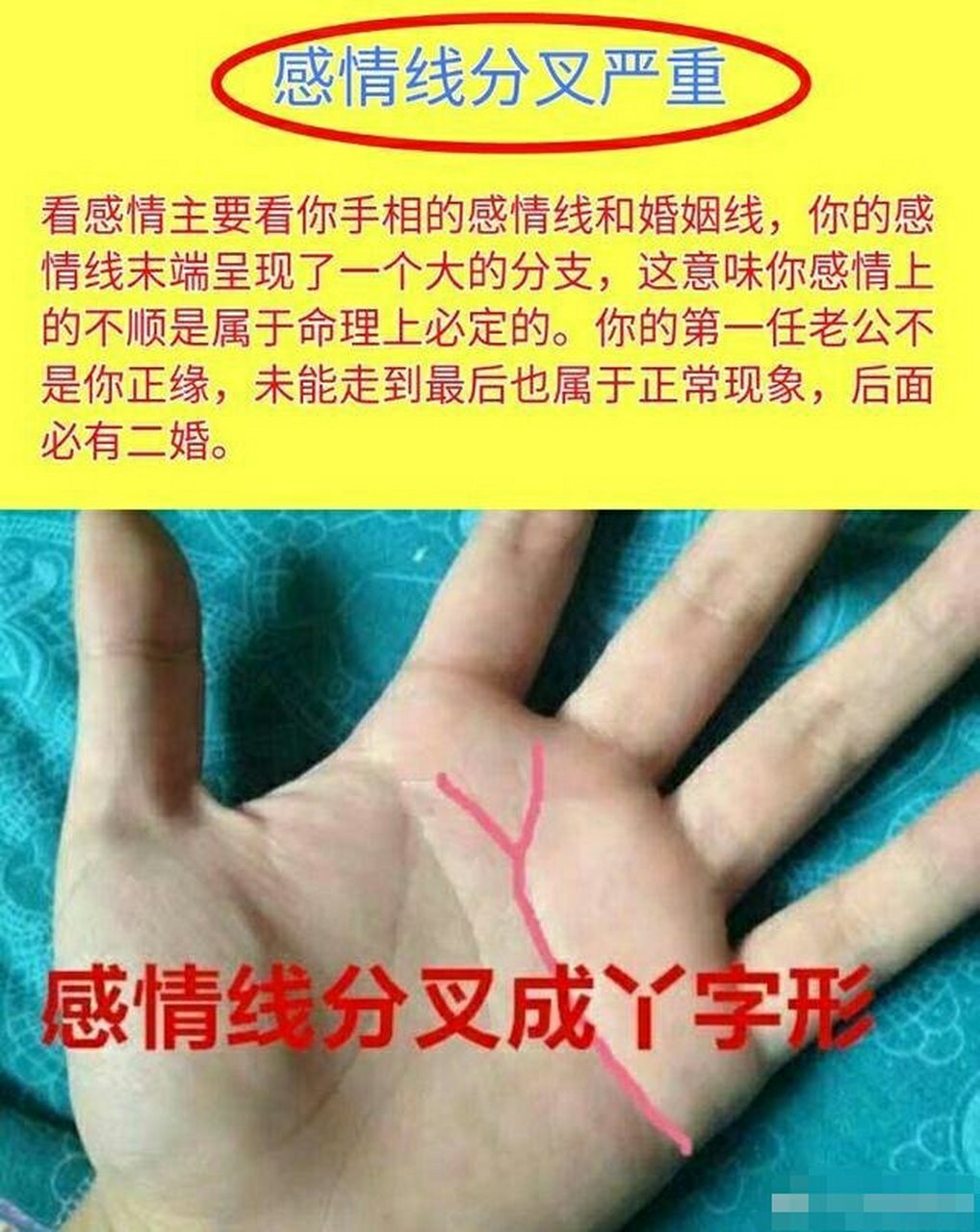 感情线两头分叉，注定难逃婚姻不顺命运的人