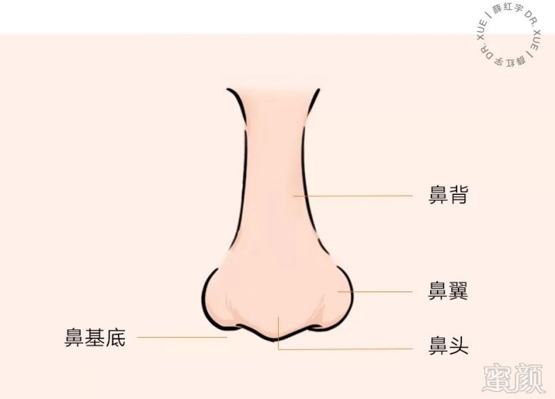 哪些鼻型的人运势好，你知道几种？