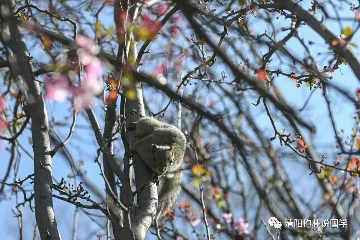 记忆《周易》64卦是一项综合长期持续的过程