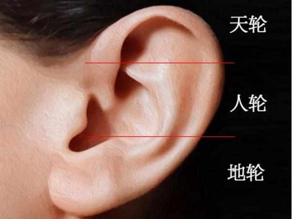 （李向东）耳朵形状与命运图解，你知道吗？