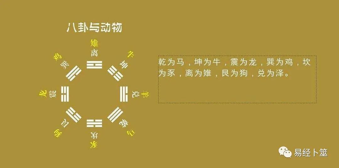 六爻风水堂:高级六爻的取象方法