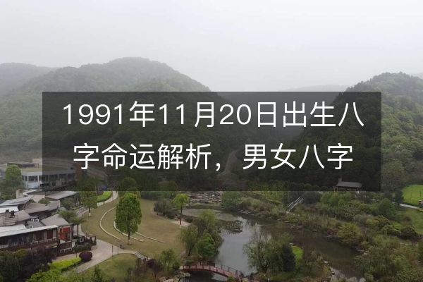 1991年11月20日出生八字命运解析，男女八字特征详解