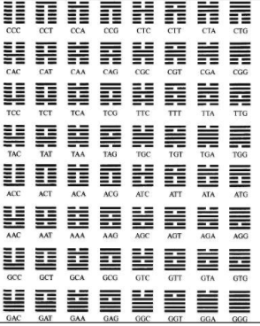 风水堂：易经64卦与生命遗传密码