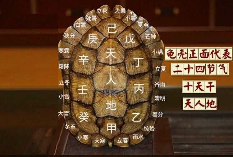 龟卜和占筮是古代的重要占卜方式吗？