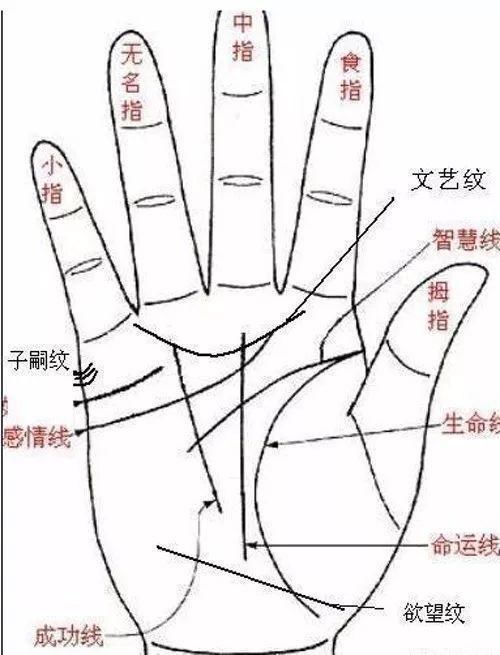 关于手相男的双手横纹，你知道这是怎么回事？