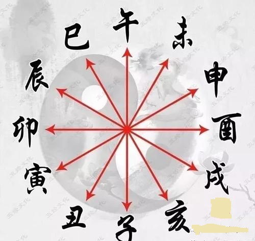 女子有性格的八字，八字看女人是水，也就是柔情似水