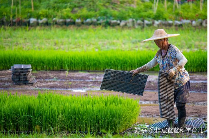 孩子一年过“两次生”，既幸福又苦恼