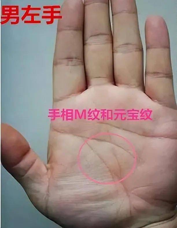 这五种手相也是特别富贵的，你知道吗？