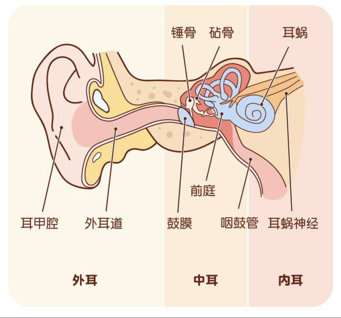 名人面相_面相算命图解之面相之十二宫_名人面相不好的例子