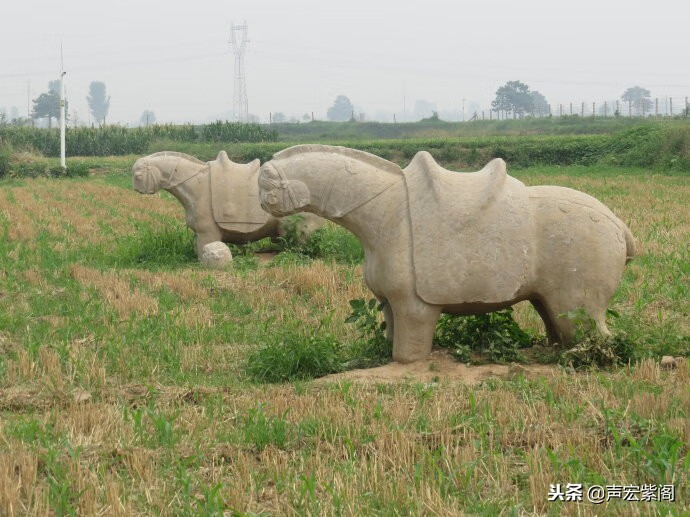 孟家坟公墓在哪里(发巨富坟山风水案例)