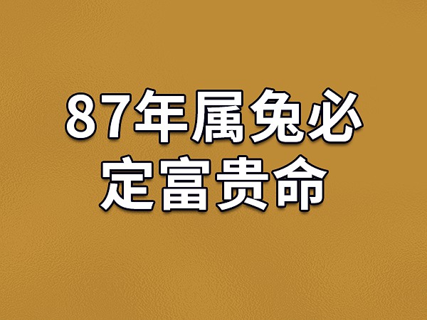 1987 年 10 月 29 日出生的人的八字命局解析