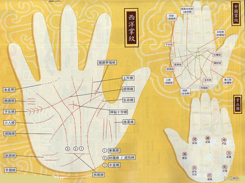 最全罕见手相掌纹图解，解析川字掌的命运特征