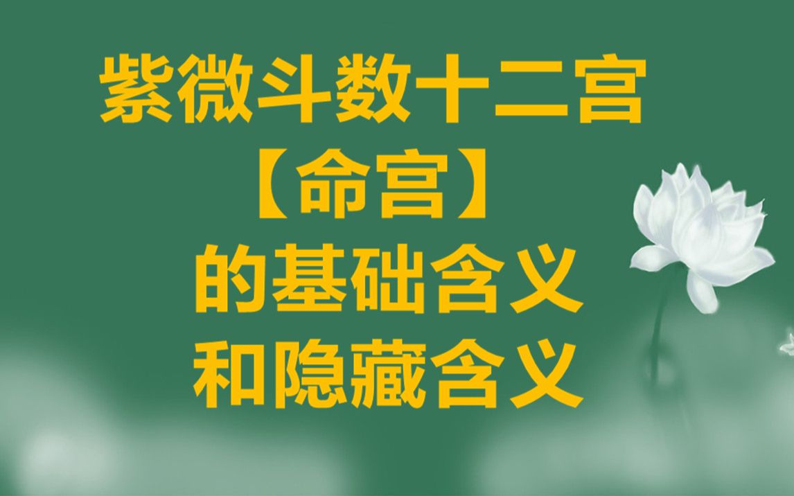 紫微斗数预测：命宫在卯的太阴同宫性格特点及运势分析