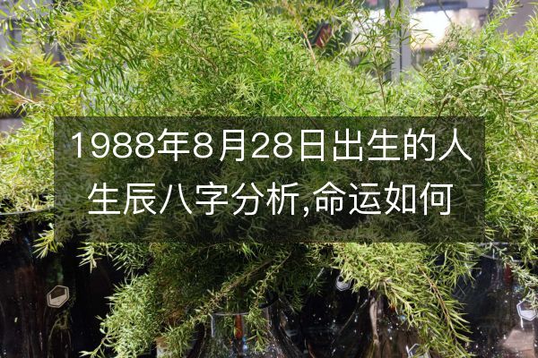 生辰八字 2021 年 6 月出生的人命运及五行缺什么解析